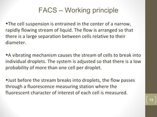 19
•The cell suspension is entrained in the center of a narrow,
rapidly flowing stream of liquid. The flow is arranged so that
there is a large separation between cells relative to their
diameter.
•A vibrating mechanism causes the stream of cells to break into
individual droplets. The system is adjusted so that there is a low
probability of more than one cell per droplet.
•Just before the stream breaks into droplets, the flow passes
through a fluorescence measuring station where the
fluorescent character of interest of each cell is measured.
FACS – Working principle
 