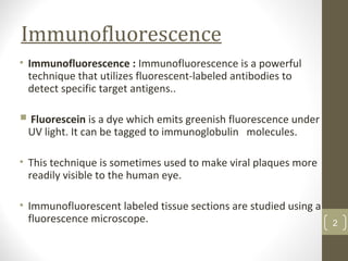 Immunofluorescence
• Immunofluorescence : Immunofluorescence is a powerful
technique that utilizes fluorescent-labeled antibodies to
detect specific target antigens..
 Fluorescein is a dye which emits greenish fluorescence under
UV light. It can be tagged to immunoglobulin molecules.
• This technique is sometimes used to make viral plaques more
readily visible to the human eye.
• Immunofluorescent labeled tissue sections are studied using a
fluorescence microscope. 2
 