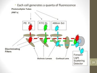 • Each cell generates a quanta of fluorescence
24
PE FL FITC FL 488nm Sct
Confocal LensDichroic Lenses
Photomultiplier Tubes
(PMT’s)
Discriminating
Filters
Forward
Light
Scattering
Detector
 