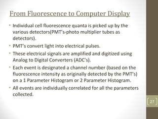 From Fluorescence to Computer Display
• Individual cell fluorescence quanta is picked up by the
various detectors(PMT’s-photo multiplier tubes as
detectors).
• PMT’s convert light into electrical pulses.
• These electrical signals are amplified and digitized using
Analog to Digital Converters (ADC’s).
• Each event is designated a channel number (based on the
fluorescence intensity as originally detected by the PMT’s)
on a 1 Parameter Histogram or 2 Parameter Histogram.
• All events are individually correlated for all the parameters
collected.
27
 