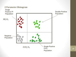 2 Parameter Histogram
29
FITC FL
PE FL
Negative
Population
Single Positive
FITC
Population
Single
Positive PI
Population
Double Positive
Population
 