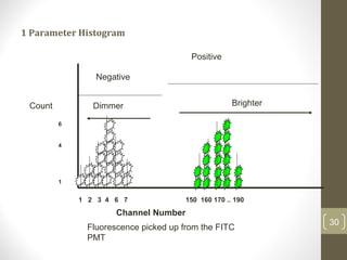 1 Parameter Histogram
30
1 2 3 4 6 7 150 160 170 .. 190
Channel Number
Positive
Negative
BrighterDimmerCount
1
4
6
Fluorescence picked up from the FITC
PMT
 