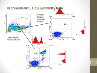 Representative - Flow Cytometry Data
31
Smaller
Region,
Live cells
mostly
Larger Region
includes all cells
 