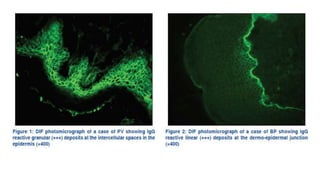 Immunofluorescence Microscopy ...final.pptx