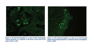Immunofluorescence Microscopy ...final.pptx