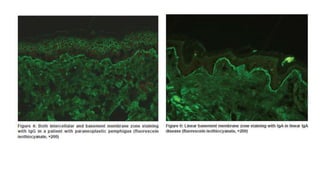 Immunofluorescence Microscopy ...final.pptx