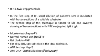 Ife Lab Process Immunofluorescence Microscopy ...final.pptx