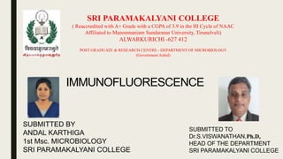 IMMUNOFLUORESCENCE
SUBMITTED BY
ANDAL KARTHIGA
1st Msc. MICROBIOLOGY
SRI PARAMAKALYANI COLLEGE
SUBMITTED TO
Dr.S.VISWANATHAN,Ph.D,
HEAD OF THE DEPARTMENT
SRI PARAMAKALYANI COLLEGE
SRI PARAMAKALYANI COLLEGE
( Reaccredited with A+ Grade with a CGPA of 3.9 in the III Cycle of NAAC
Affiliated to Manonmaniam Sundaranar University, Tirunelveli)
ALWARKURICHI -627 412
POST GRADUATE & RESEARCH CENTRE - DEPARTMENT OF MICROBIOLOGY
(Government Aided)
 