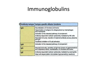 Immunoglobulins
 