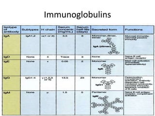 Immunoglobulins
 