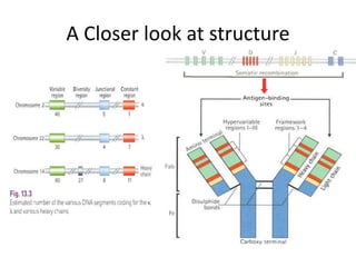 A Closer look at structure
 