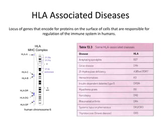 HLA Associated Diseases
Locus of genes that encode for proteins on the surface of cells that are responsible for
regulation of the immune system in humans.
 