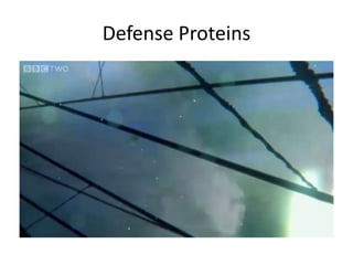 Defense Proteins
 