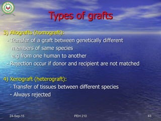 Immunogenetics | PPTX
