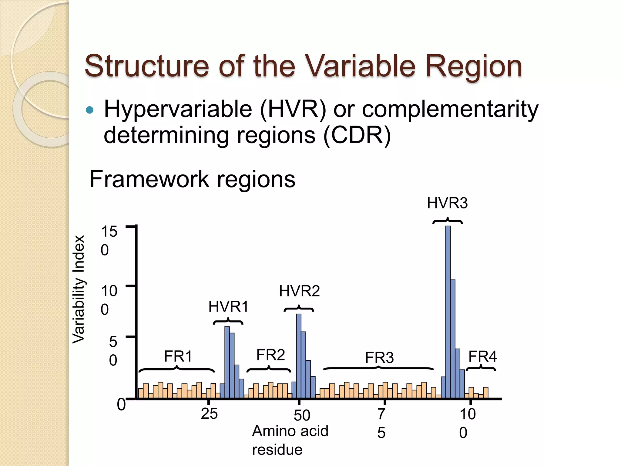 Structure of the Variable Region
 Hypervariable (HVR) or complementarity
determining regions (CDR)
FR1 FR2 FR3 FR4
HVR1
HVR2
HVR3
VariabilityIndex
25 7
5
50 10
0Amino acid
residue
15
0
10
0
5
0
0
Framework regions
 