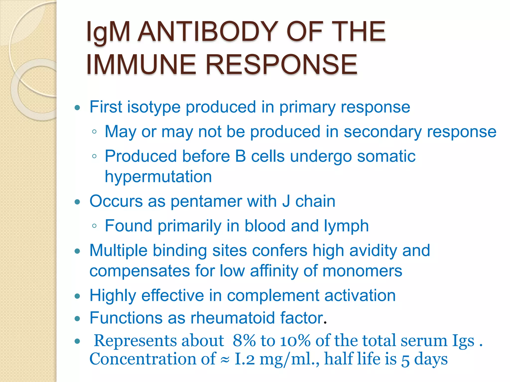 IgM ANTIBODY OF THE
IMMUNE RESPONSE
 First isotype produced in primary response
◦ May or may not be produced in secondary response
◦ Produced before B cells undergo somatic
hypermutation
 Occurs as pentamer with J chain
◦ Found primarily in blood and lymph
 Multiple binding sites confers high avidity and
compensates for low affinity of monomers
 Highly effective in complement activation
 Functions as rheumatoid factor.
 Represents about 8% to 10% of the total serum Igs .
Concentration of ≈ I.2 mg/ml., half life is 5 days
 
