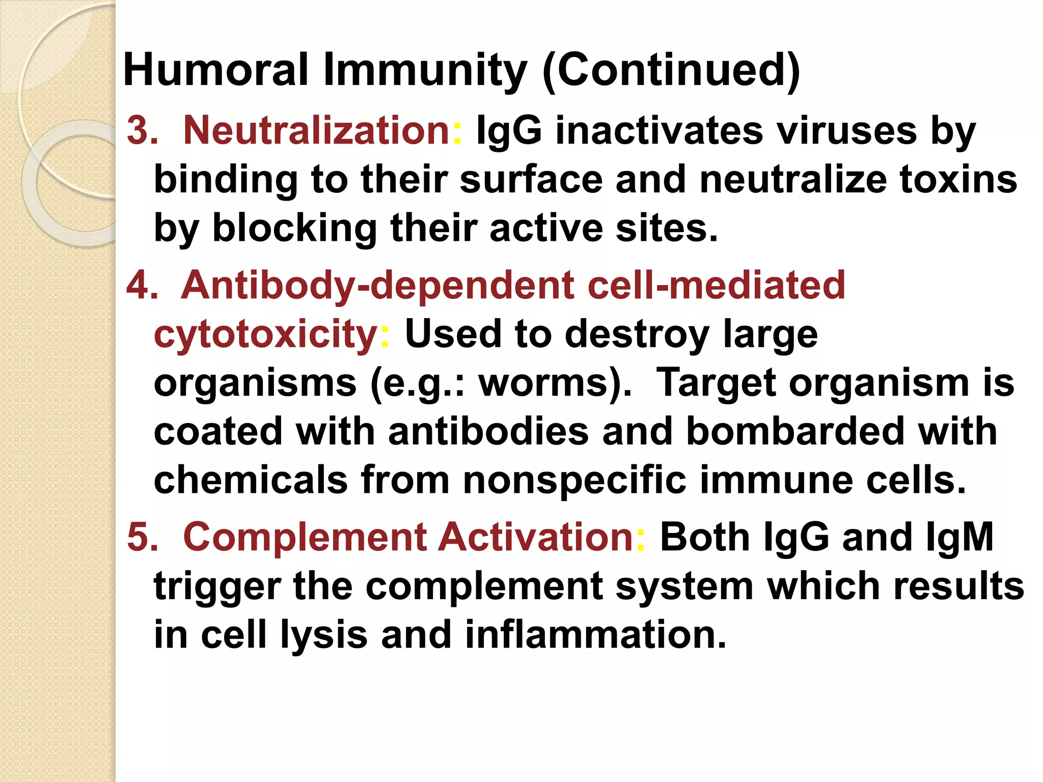 Humoral Immunity (Continued)
3. Neutralization: IgG inactivates viruses by
binding to their surface and neutralize toxins
by blocking their active sites.
4. Antibody-dependent cell-mediated
cytotoxicity: Used to destroy large
organisms (e.g.: worms). Target organism is
coated with antibodies and bombarded with
chemicals from nonspecific immune cells.
5. Complement Activation: Both IgG and IgM
trigger the complement system which results
in cell lysis and inflammation.
 