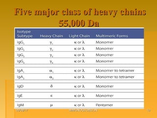 Five major class of heavy chainsFive major class of heavy chains
55,000 Da55,000 Da
06/08/1706/08/17 IMMUNOGLOBULINIMMUNOGLOBULIN 1212
 