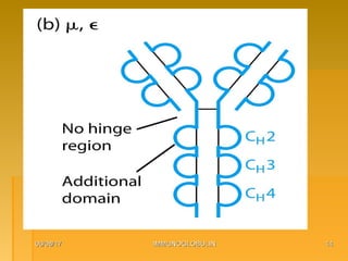 06/08/1706/08/17 IMMUNOGLOBULINIMMUNOGLOBULIN 1414
 
