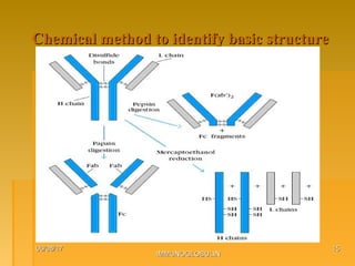 Chemical method to identify basic structureChemical method to identify basic structure
06/08/1706/08/17
IMMUNOGLOBULINIMMUNOGLOBULIN
1515
 