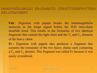 IMMUNOGLOBULIN FRAGMENTS: STRUCTURE/FUNCTIONIMMUNOGLOBULIN FRAGMENTS: STRUCTURE/FUNCTION
RELATIONSHIPSRELATIONSHIPS
 Fab : Digestion with papain breaks the immunoglobulin
molecule in the hinge region before the H-H inter-chain
disulfide bond. This results in the formation of two identical
fragments that contain the light chain and the VH and CH1 domains
of the heavy chain.
 Fc : Digestion with papain also produces a fragment that
contains the remainder of the two heavy chains each containing
a CH2 and CH3 domain. This fragment was called Fc because it was
easily crystallized.
06/08/1706/08/17 IMMUNOGLOBULINIMMUNOGLOBULIN 1616
 