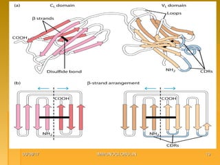 06/08/1706/08/17 IMMUNOGLOBULINIMMUNOGLOBULIN 1919
 