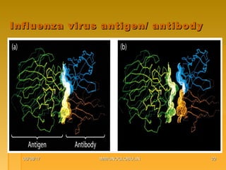 06/08/1706/08/17 IMMUNOGLOBULINIMMUNOGLOBULIN 2222
Influenza virus antigen/ antibodyInfluenza virus antigen/ antibody
 