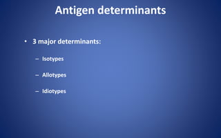 Antigen determinants
• 3 major determinants:
– Isotypes
– Allotypes
– Idiotypes
 