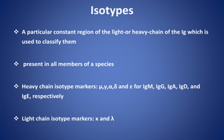 Isotypes
 A particular constant region of the light-or heavy-chain of the Ig which is
used to classify them
 present in all members of a species
 Heavy chain isotype markers: µ,γ,α,δ and ε for IgM, IgG, IgA, IgD, and
IgE, respectively
 Light chain isotype markers: κ and λ
 