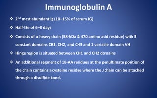Immunoglobulin A
 2nd most abundant Ig (10–15% of serum IG)
 Half-life of 6–8 days
 Consists of α heavy chain (58-kDa & 470 amino acid residue) with 3
constant domains CH1, CH2, and CH3 and 1 variable domain VH
 Hinge region is situated between CH1 and CH2 domains
 An additional segment of 18-AA residues at the penultimate position of
the chain contains a cysteine residue where the J chain can be attached
through a disulfide bond.
 