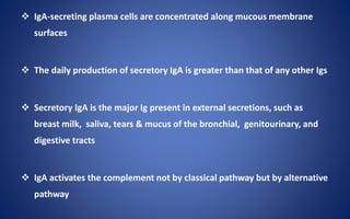  IgA-secreting plasma cells are concentrated along mucous membrane
surfaces
 The daily production of secretory IgA is greater than that of any other Igs
 Secretory IgA is the major Ig present in external secretions, such as
breast milk, saliva, tears & mucus of the bronchial, genitourinary, and
digestive tracts
 IgA activates the complement not by classical pathway but by alternative
pathway
 