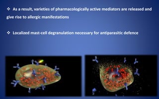  As a result, varieties of pharmacologically active mediators are released and
give rise to allergic manifestations
 Localized mast-cell degranulation necessary for antiparasitic defence
 