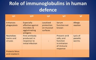 Role of immunoglobulins in human
defence
IgG IgM IgA IgD IgE
Enhances
phagocytosis
Especially
effective against
microbes &
agglutinating
antigens
Localized
protection
on mucosal
surfaces
Serum
function not
known
Allergic
reaction
Neutralizes
toxins and
viruses
First antibody
produced in
response to
initial infection
-
Present on B
cells; and
function
in initiation
of immune
response
Lysis of
parasitic
worms
Protects fetus
and newborn
 