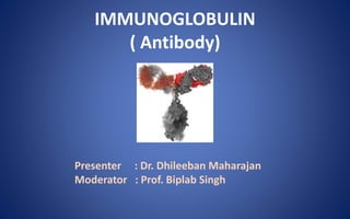 IMMUNOGLOBULIN
( Antibody)
Presenter : Dr. Dhileeban Maharajan
Moderator : Prof. Biplab Singh
 