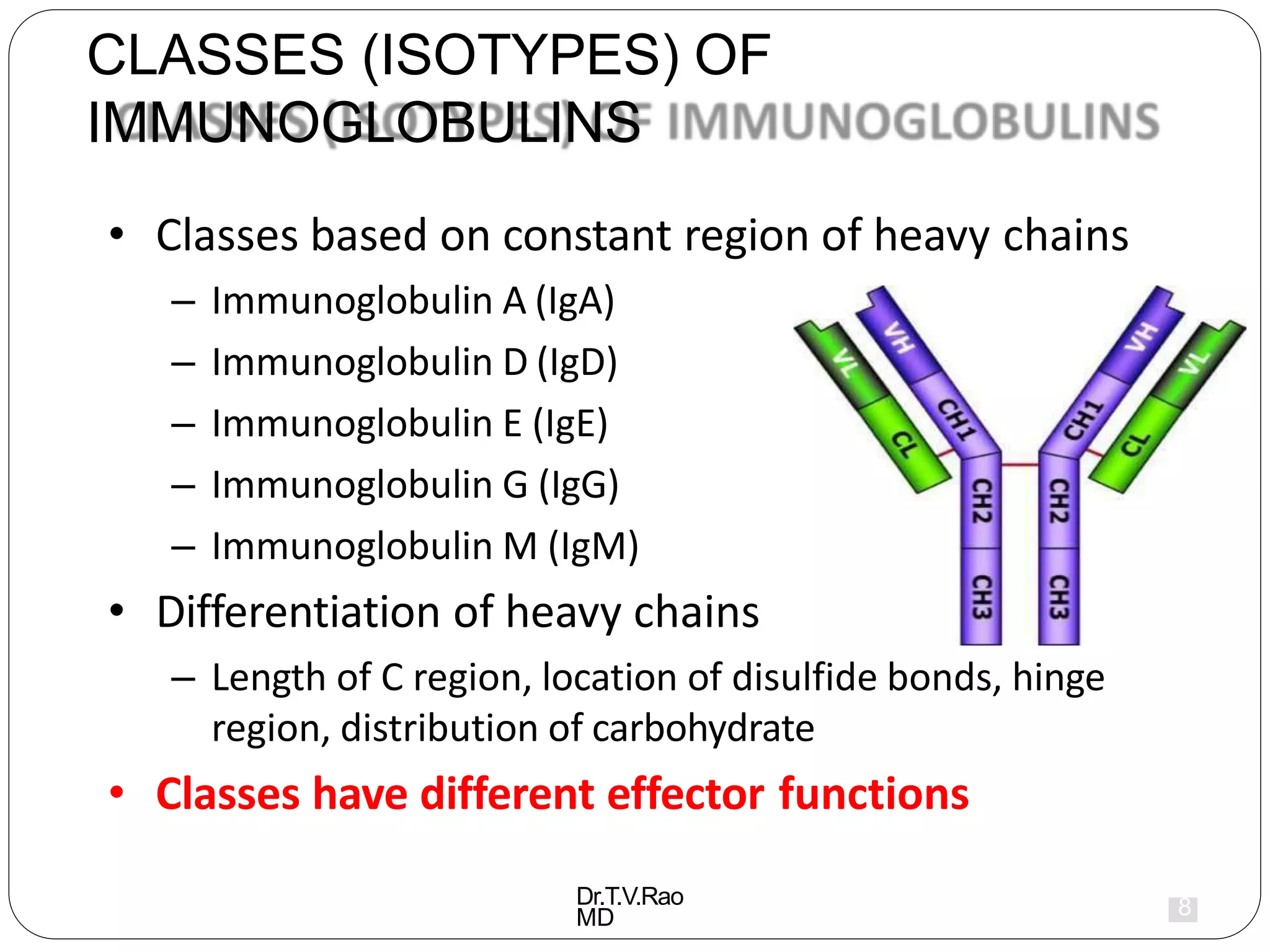 Immunoglobulin,Antibody structure, definition, structure, types