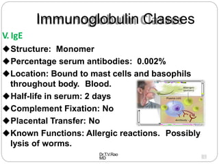 Immunoglobulin Classes
V. IgE
Structure: Monomer
Percentage serum antibodies: 0.002%
Location: Bound to mast cells and basophils
throughout body. Blood.
Half-life in serum: 2 days
Complement Fixation: No
Placental Transfer: No
Known Functions: Allergic reactions. Possibly
lysis of worms.
Dr.T.V.Rao
MD
1
3
 