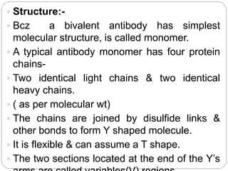  Structure:-
 Bcz a bivalent antibody has simplest
molecular structure, is called monomer.
 A typical antibody monomer has four protein
chains-
 Two identical light chains & two identical
heavy chains.
 ( as per molecular wt)
 The chains are joined by disulfide links &
other bonds to form Y shaped molecule.
 It is flexible & can assume a T shape.
 The two sections located at the end of the Y’s
 