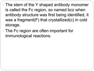  The stem of the Y shaped antibody monomer
is called the Fc region, so named bcz when
antibody structure was first being identified, it
was a fragment(F) that crystallized(c) in cold
storage.
 The Fc region are often important for
immunological reactions.
 