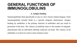 GENERAL FUNCTIONS OF
IMMUNOGLOBULINS
A. Antigen binding
Immunoglobulins bind specifically to one or a few closely related antigens. Each
immunoglobulin actually binds to a specific antigenic determinant. Antigen
binding by antibodies is the primary function of antibodies and can result in
protection of the host. The valency of antibody refers to the number of antigenic
determinants that an individual antibody molecule can bind. The valency of all
antibodies is at least two and in some instances more.
 