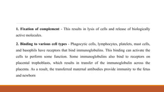1. Fixation of complement - This results in lysis of cells and release of biologically
active molecules.
2. Binding to various cell types - Phagocytic cells, lymphocytes, platelets, mast cells,
and basophils have receptors that bind immunoglobulins. This binding can activate the
cells to perform some function. Some immunoglobulins also bind to receptors on
placental trophoblasts, which results in transfer of the immunoglobulin across the
placenta. As a result, the transferred maternal antibodies provide immunity to the fetus
and newborn
 