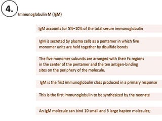 Immunoglobulins and Immune system