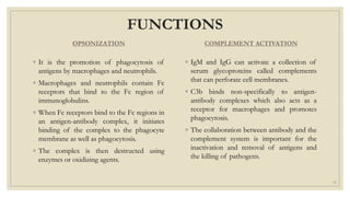 FUNCTIONS
OPSONIZATION
◦ It is the promotion of phagocytosis of
antigens by macrophages and neutrophils.
◦ Macrophages and neutrophils contain Fc
receptors that bind to the Fc region of
immunoglobulins.
◦ When Fc receptors bind to the Fc regions in
an antigen-antibody complex, it initiates
binding of the complex to the phagocyte
membrane as well as phagocytosis.
◦ The complex is then destructed using
enzymes or oxidizing agents.
COMPLEMENT ACTIVATION
◦ IgM and IgG can activate a collection of
serum glycoproteins called complements
that can perforate cell membranes.
◦ C3b binds non-specifically to antigen-
antibody complexes which also acts as a
receptor for macrophages and promotes
phagocytosis.
◦ The collaboration between antibody and the
complement system is important for the
inactivation and removal of antigens and
the killing of pathogens.
13
 