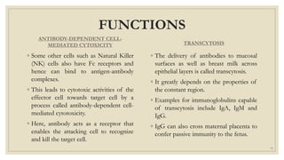 FUNCTIONS
ANTIBODY-DEPENDENT CELL-
MEDIATED CYTOXICITY
◦ Some other cells such as Natural Killer
(NK) cells also have Fc receptors and
hence can bind to antigen-antibody
complexes.
◦ This leads to cytotoxic activities of the
effector cell towards target cell by a
process called antibody-dependent cell-
mediated cytotoxicity.
◦ Here, antibody acts as a receptor that
enables the attacking cell to recognize
and kill the target cell.
TRANSCYTOSIS
◦ The delivery of antibodies to mucosal
surfaces as well as breast milk across
epithelial layers is called transcytosis.
◦ It greatly depends on the properties of
the constant region.
◦ Examples for immunoglobulins capable
of transcytosis include IgA, IgM and
IgG.
◦ IgG can also cross maternal placenta to
confer passive immunity to the fetus.
15
 