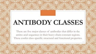 ANTIBODY CLASSES
There are five major classes of antibodies that differ in the
amino acid sequences in their heavy chain constant regions.
These confer class-specific structural and functional properties.
17
 