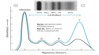 Blue line: electrophoretic pattern
of untreated antiserum
Black line: pattern of antiserum
that was incubated with OVA
4
 