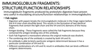 IMMUNOGLOBULIN FRAGMENTS:
STRUCTURE/FUNCTION RELATIONSHIPS
Immunoglobulin fragments produced by proteolytic digestion have proven
very useful in elucidating structure/function relationships in immunoglobulins
• Fab region
• Digestion with papain breaks the immunoglobulin molecule in the hinge region before
the H-H inter-chain disulfide bond. This results in the formation of two identical
fragments that contain the light chain and the VH and CH1 domains of the heavy
chain.
• Antigen binding - These fragments were called the Fab fragments because they
contained the antigen binding sites of the antibody.
• Each Fab fragment is monovalent whereas the original molecule was divalent.
• The combining site of the antibody is created by both VH and VL.
• An antibody is able to bind a particular antigenic determinant because it has a
particular combination of VH and VL.
• Different combinations of a VH and VL result in antibodies that can bind a different
antigenic determinants.
 
