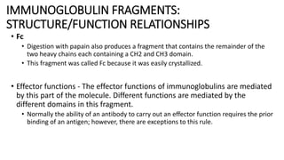 IMMUNOGLOBULIN FRAGMENTS:
STRUCTURE/FUNCTION RELATIONSHIPS
• Fc
• Digestion with papain also produces a fragment that contains the remainder of the
two heavy chains each containing a CH2 and CH3 domain.
• This fragment was called Fc because it was easily crystallized.
• Effector functions - The effector functions of immunoglobulins are mediated
by this part of the molecule. Different functions are mediated by the
different domains in this fragment.
• Normally the ability of an antibody to carry out an effector function requires the prior
binding of an antigen; however, there are exceptions to this rule.
 
