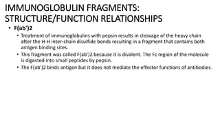 IMMUNOGLOBULIN FRAGMENTS:
STRUCTURE/FUNCTION RELATIONSHIPS
• F(ab')2
• Treatment of immunoglobulins with pepsin results in cleavage of the heavy chain
after the H-H inter-chain disulfide bonds resulting in a fragment that contains both
antigen binding sites.
• This fragment was called F(ab')2 because it is divalent. The Fc region of the molecule
is digested into small peptides by pepsin.
• The F(ab')2 binds antigen but it does not mediate the effector functions of antibodies.
 