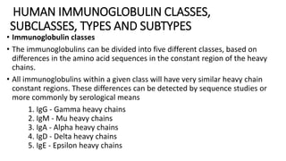 HUMAN IMMUNOGLOBULIN CLASSES,
SUBCLASSES, TYPES AND SUBTYPES
• Immunoglobulin classes
• The immunoglobulins can be divided into five different classes, based on
differences in the amino acid sequences in the constant region of the heavy
chains.
• All immunoglobulins within a given class will have very similar heavy chain
constant regions. These differences can be detected by sequence studies or
more commonly by serological means
1. IgG - Gamma heavy chains
2. IgM - Mu heavy chains
3. IgA - Alpha heavy chains
4. IgD - Delta heavy chains
5. IgE - Epsilon heavy chains
 