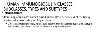 HUMAN IMMUNOGLOBULIN CLASSES,
SUBCLASSES, TYPES AND SUBTYPES
• Nomenclature
• Immunoglobulins are named based on the class, or subclass of the heavy
chain and type or subtype of light chain.
• Unless it is stated precisely, you should assume that all subclass, types and subtypes
are present. IgG means that all subclasses and types are present.
 
